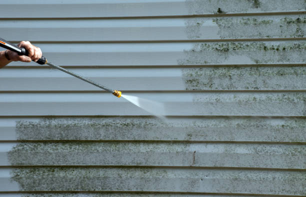 Best Attic Mold Remediation in Ness City, KS