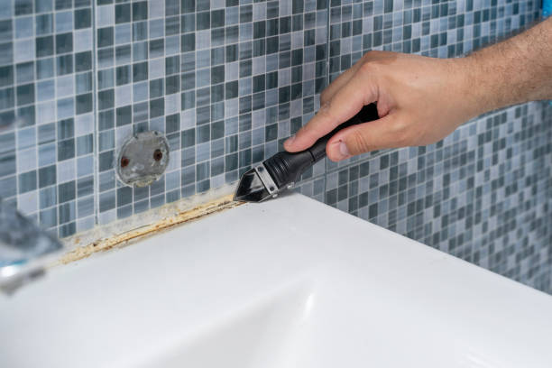 Reliable Ness City, KS Mold Remediation Solutions