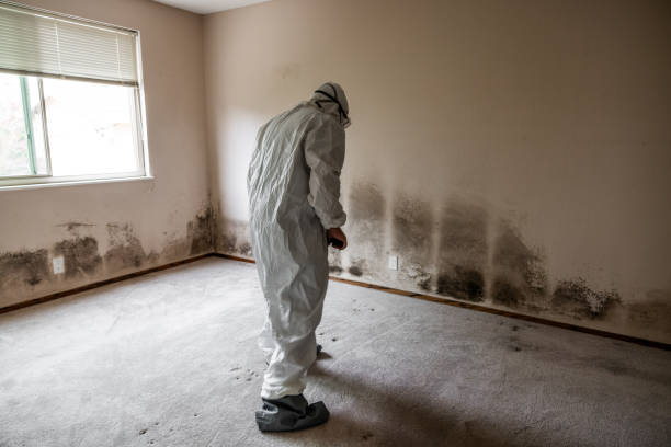 Best Bathroom Mold Remediation in Ness City, KS