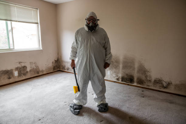 Best Residential Mold Remediation in Ness City, KS